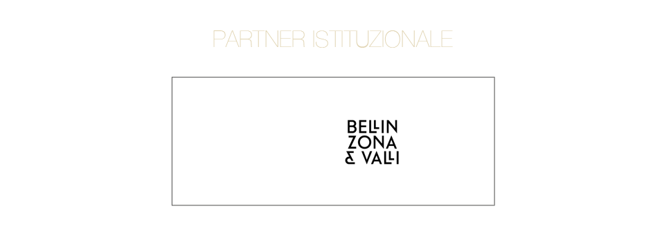 Partner Istituzionali